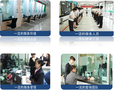 服务营销一体化执行项目软件开发 驱动业务增长的新引擎