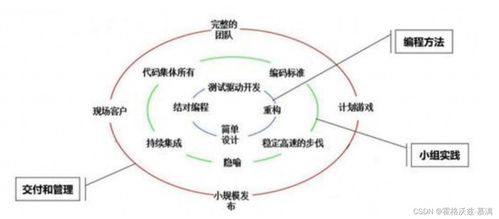 软件测试与开发流程 协同构建高质量软件的基石